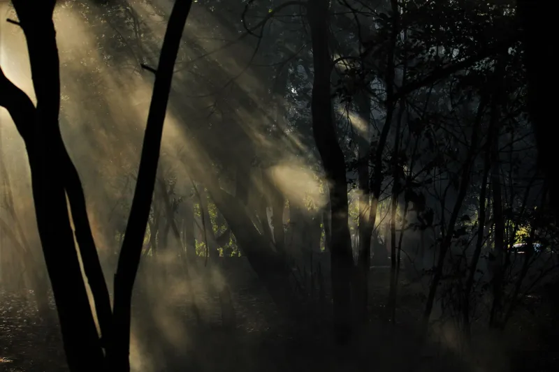 Leave Something in the Dark: Why the Best Fictional Worlds Know What Not to Show You